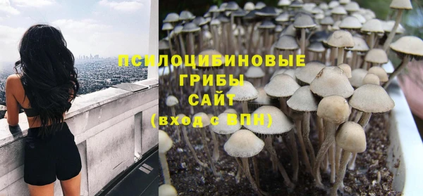 мдпв Сатка