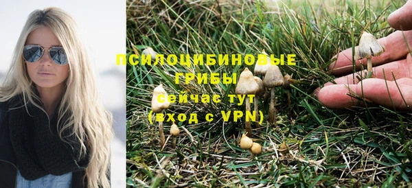 мдпв Сатка