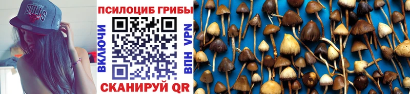 Купить  Людиново  Галлюциногенные грибы Magic Shrooms 
